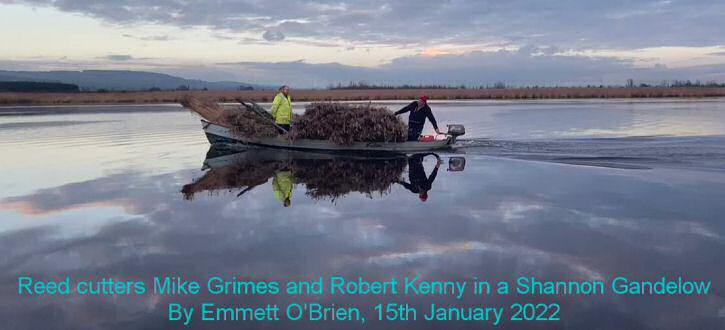 Gandelow_Reed-cutting_Mike-Grimes-and-Robert-Kenny_2022 Gandelow_Reed-cutting_Mike-Grimes-and-Robert-Kenny_2022